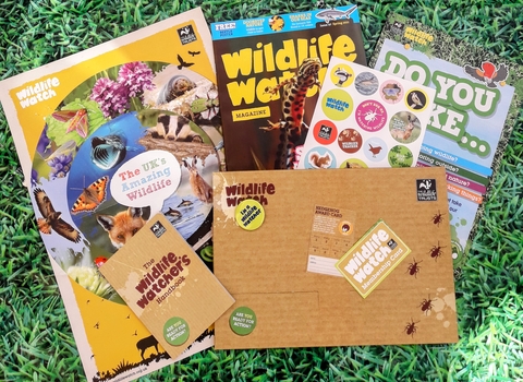 Wildlife watch pack