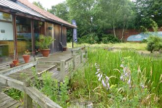 Nature Reserves The Wildlife Trusts