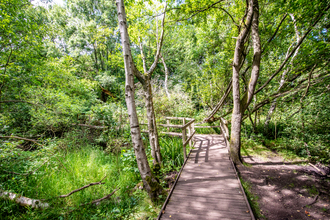 Moseley Bog