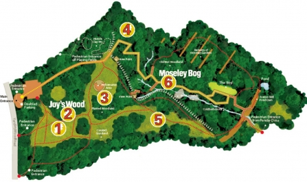 Map of Moseley Bog