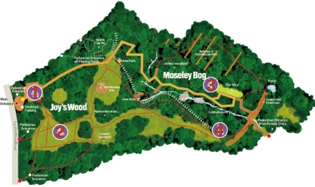 Map of Moseley Bog