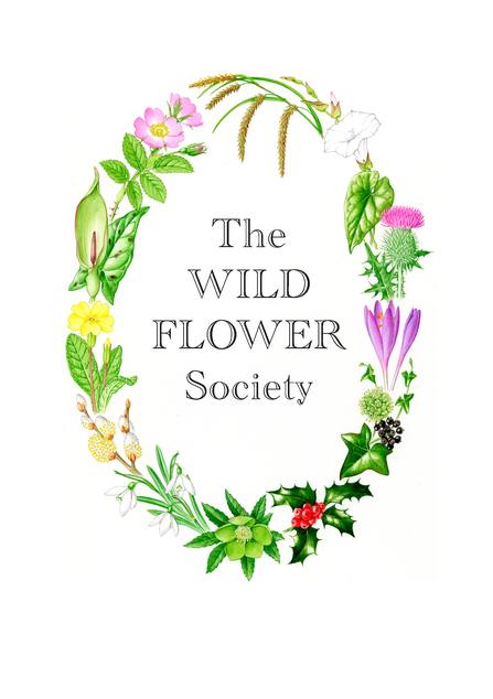 The Wild Flower Society logo